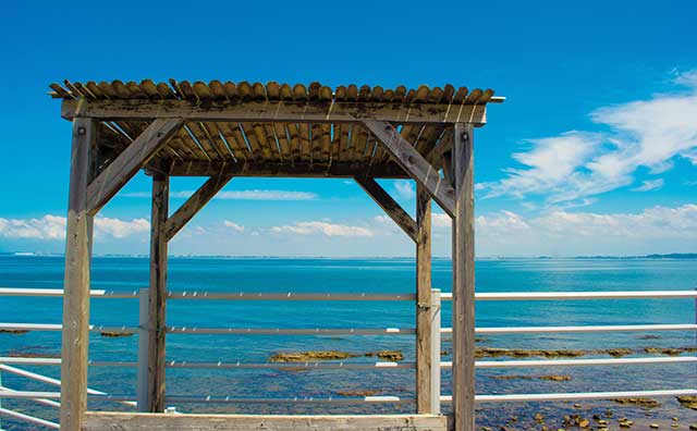 日間賀島