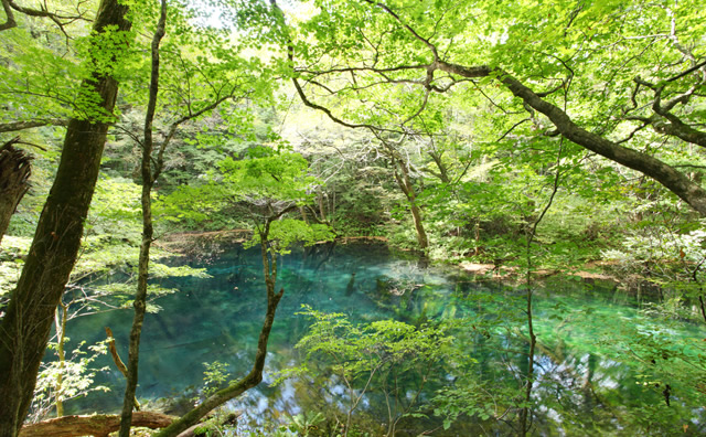 沸壺の池