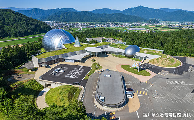 福井県立恐竜博物館 外観