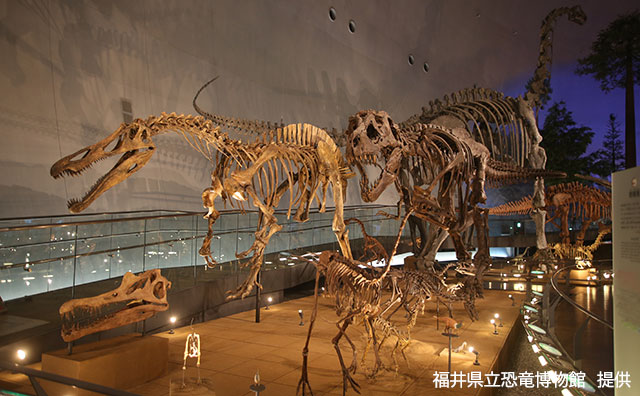 福井県恐竜博物館