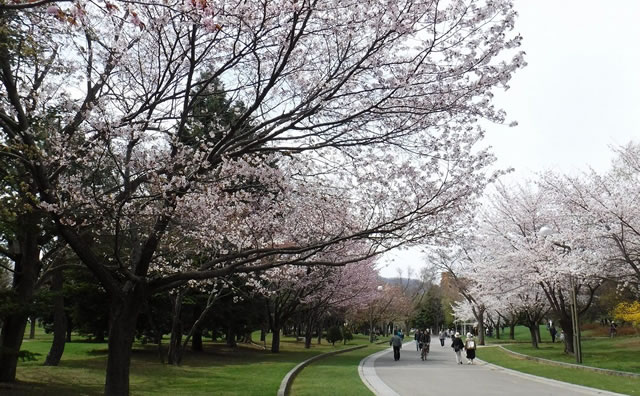 中島公園