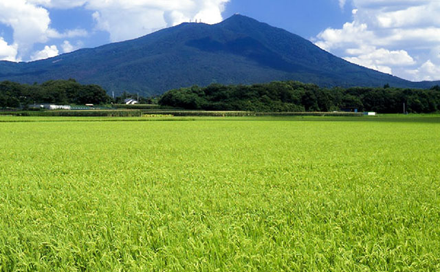筑波山