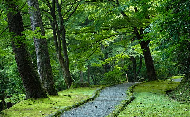 鶴仙渓の遊歩道
