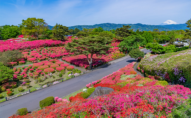 小室山公園