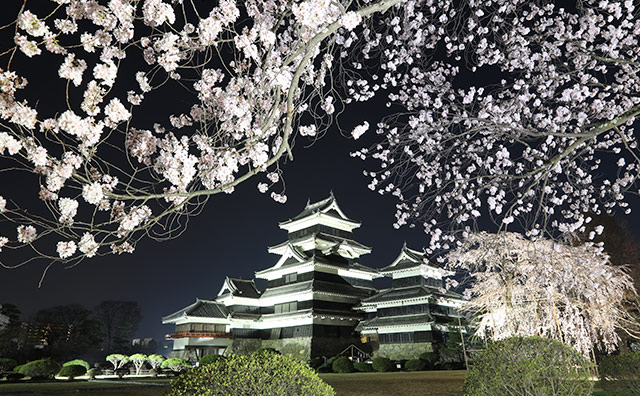 松本城