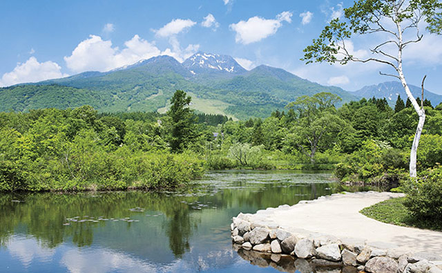 妙高山といもり池