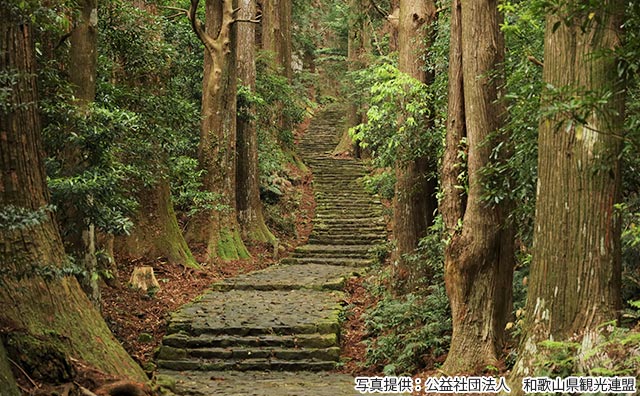大門坂(写真提供:公益社団法人 和歌山県観光連盟)