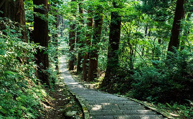 羽黒山の参道である2446段の石段