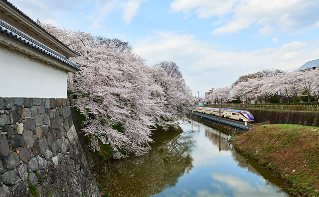 霞城公園