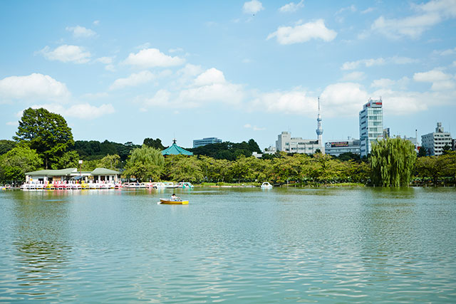 上野恩賜公園　不忍池