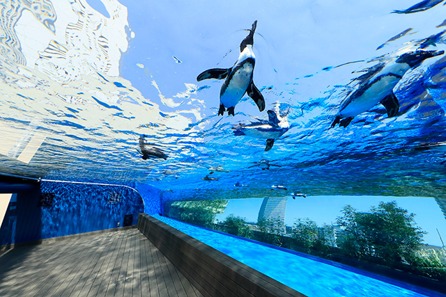サンシャイン水族館 