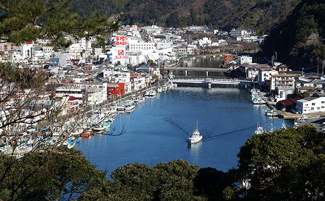 宿泊でも日帰りでも楽しめる！魅力あふれる伊豆旅行