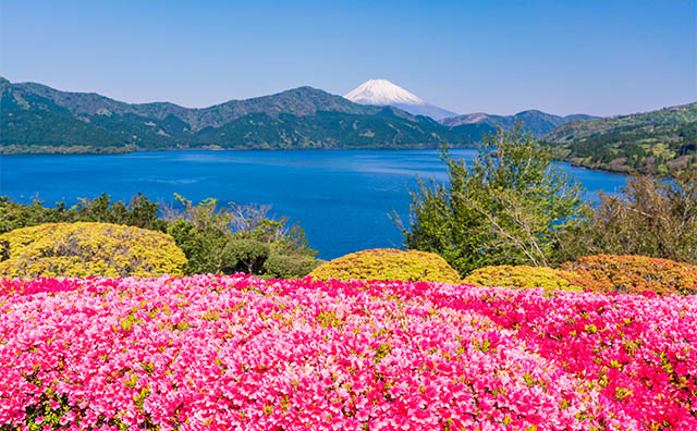 神奈川県立恩賜箱根公園