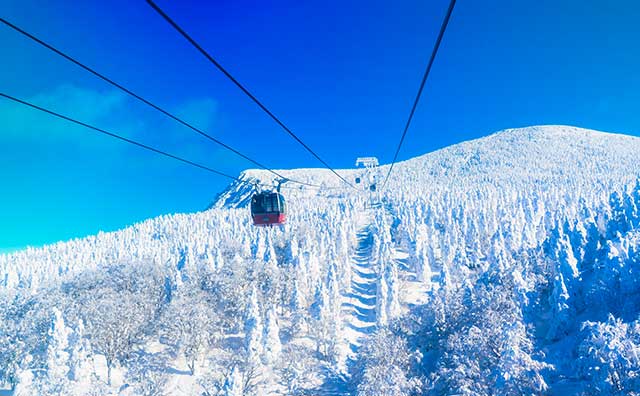 【最新】東日本おすすめのスキー場21選！各エリアの魅力をくわしく解説
