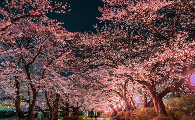 北上展勝地