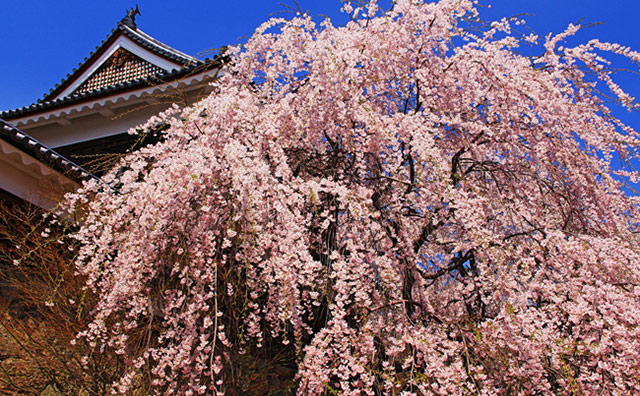 上田城跡公園