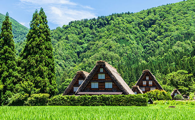 夏の白川郷