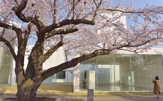 十和田市現代美術館