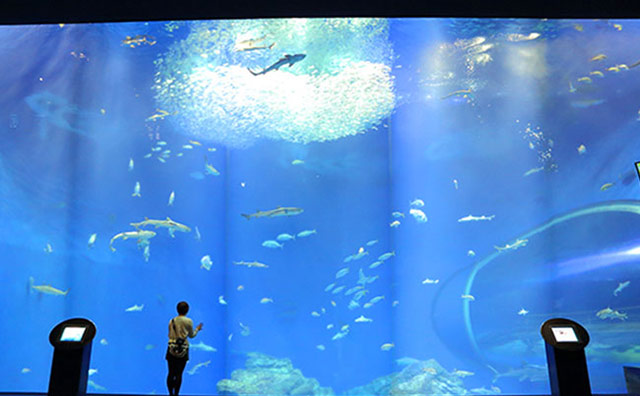 アクアワールド茨城県大洗水族館