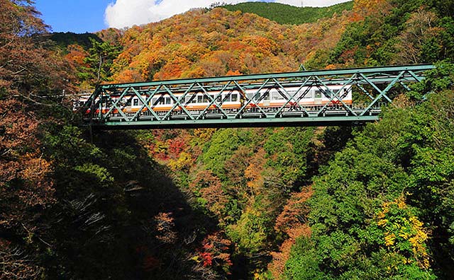 箱根　早川橋梁（出山の鉄橋）