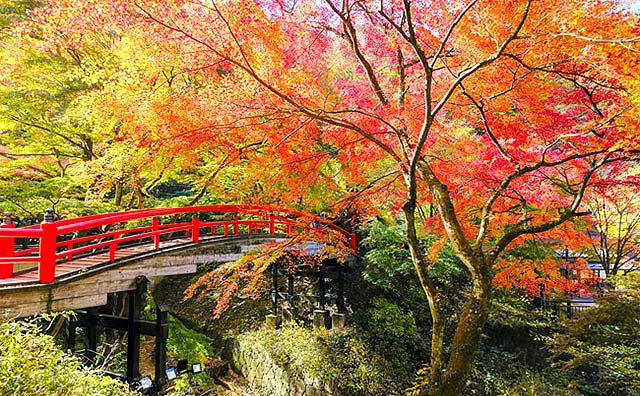 河鹿橋の紅葉