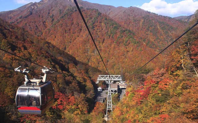 ロープウェイからの絶景