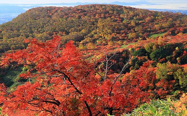 筑波山の紅葉と眼下に広がる関東平野