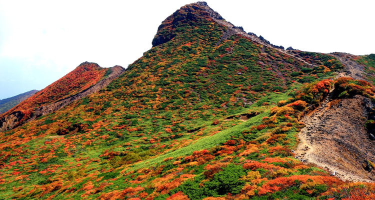 【関東】紅葉はいつが見ごろ？紅葉人気スポットと例年の紅葉シーズン