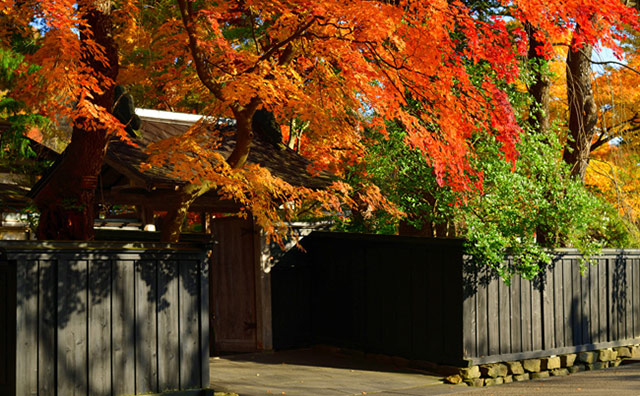 情緒溢れる武家屋敷の紅葉