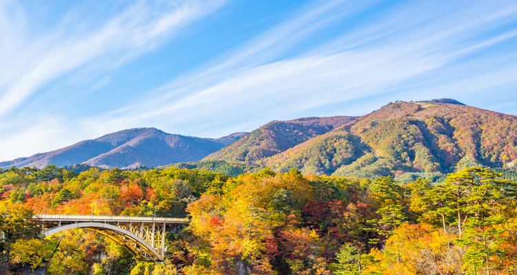 色とりどりの大自然に触れる！東北の紅葉スポット