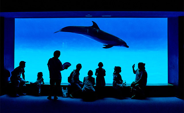 アクアワールド茨城県大洗水族館