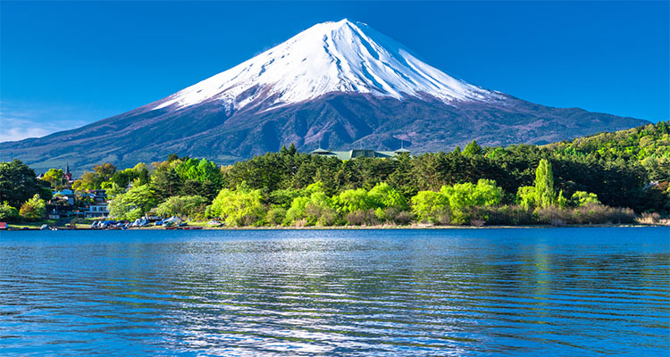山梨観光1泊2日モデルコース！車なしで絶景・歴史・ワインを楽しむ旅