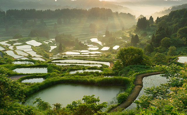 星峠の棚田