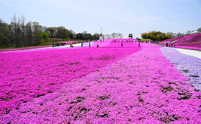 【2026年】ゴールデンウィーク旅行の穴場は？人混みを避けて楽しめるスポット15選
