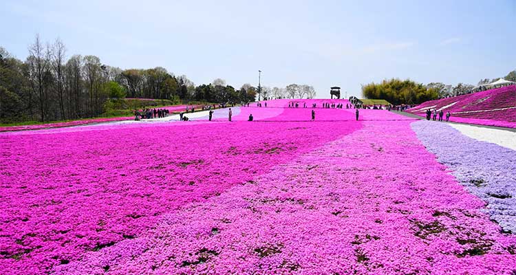 【2026年】ゴールデンウィーク旅行の穴場は？人混みを避けて楽しめるスポット15選