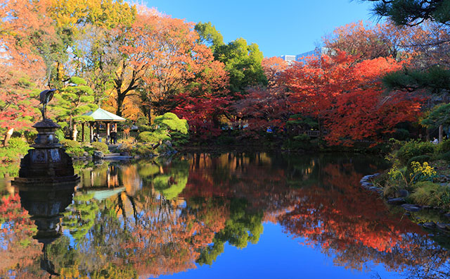日比谷公園 雲形池と鶴の噴水