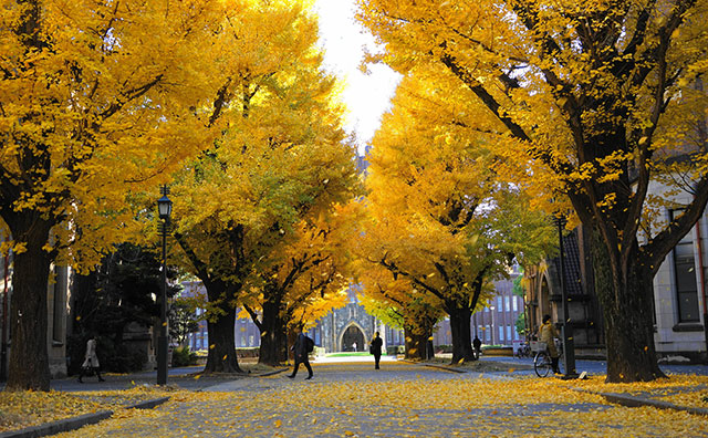 東京大学 本郷キャンパス