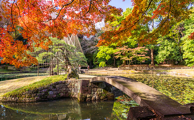 小石川後楽園