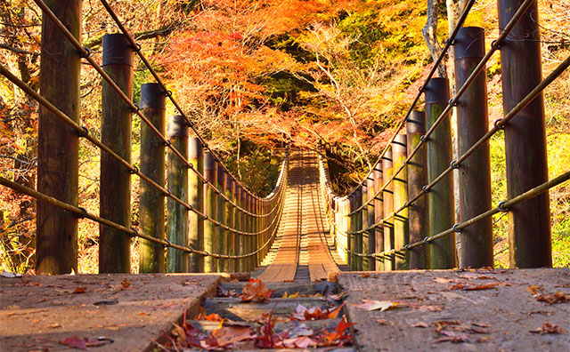 花貫渓谷 汐見滝吊り橋