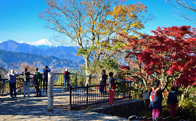 高尾山 眺望