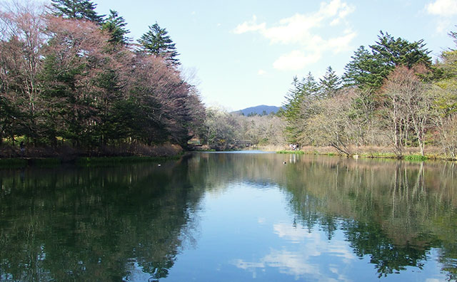 雲場池