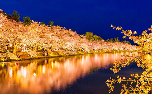 花見の名所が近くにある温泉施設