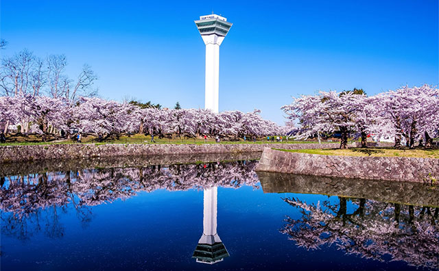 五稜郭公園