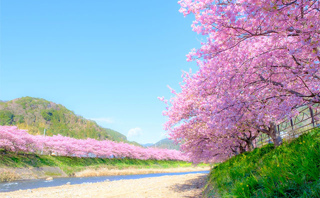 河津川