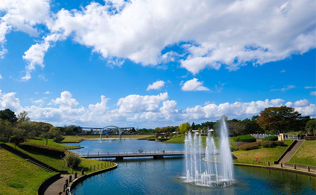 ひたち海浜公園の基本情報