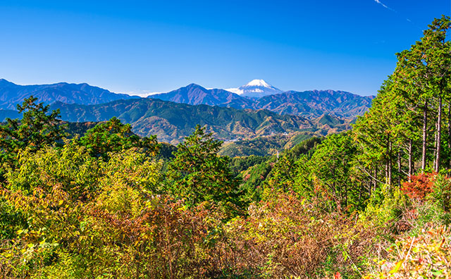 初心者におすすめの山の特徴