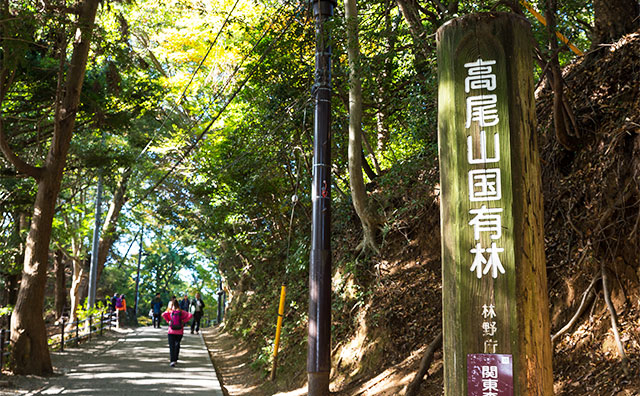 高尾山