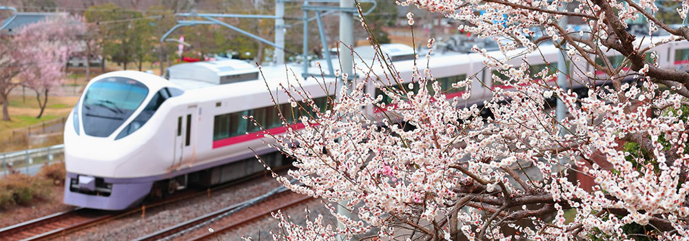 東京から近場の旅行でおすすめのスポットを紹介！明日すぐ行って楽しい思い出を！