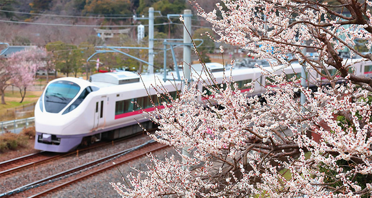 東京から近場の旅行でおすすめのスポットを紹介！明日すぐ行って楽しい思い出を！