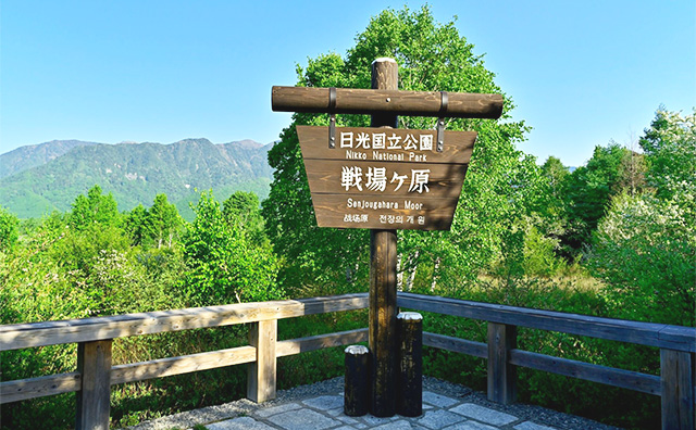 日光 戦場ヶ原